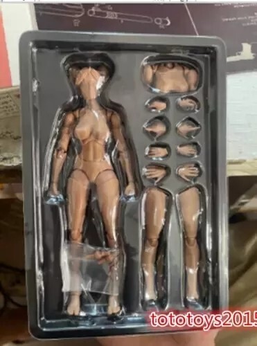 US Romankey X COWL 1/12 Girl Action Figure Femmina Joint Body &Head 6" Bambola Pallida - Foto 18 di 19