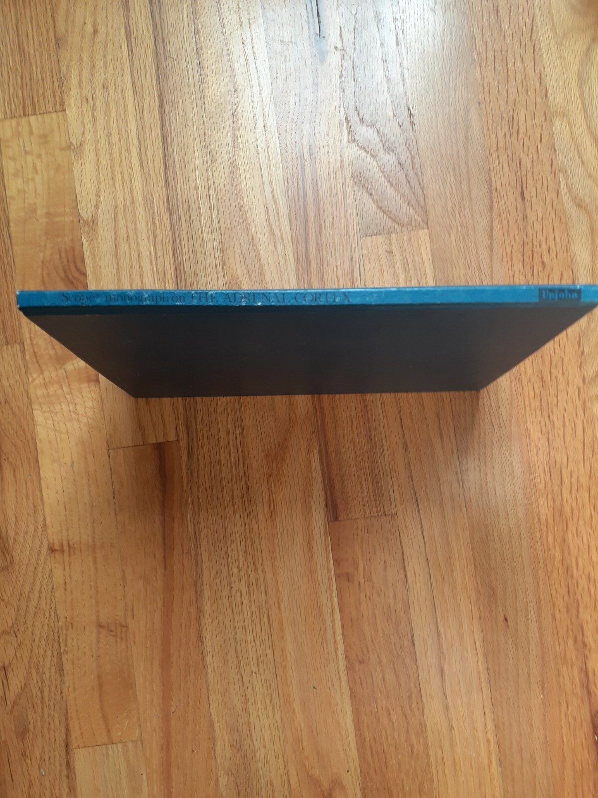 Picture 4 of 8