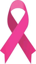 3 x 5 Pink Breast Cancer Ribbon Sticker Vinyl Awareness Vehicle Decal Stickers