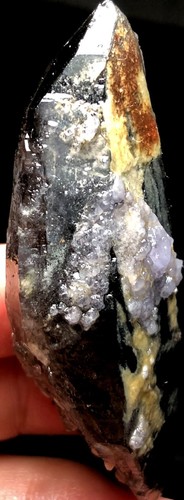 48g Natural Black SMOKY skeletal Elestial QUARTZ Crystal Point DT&Fluorite s558 - Imagen 4 de 7