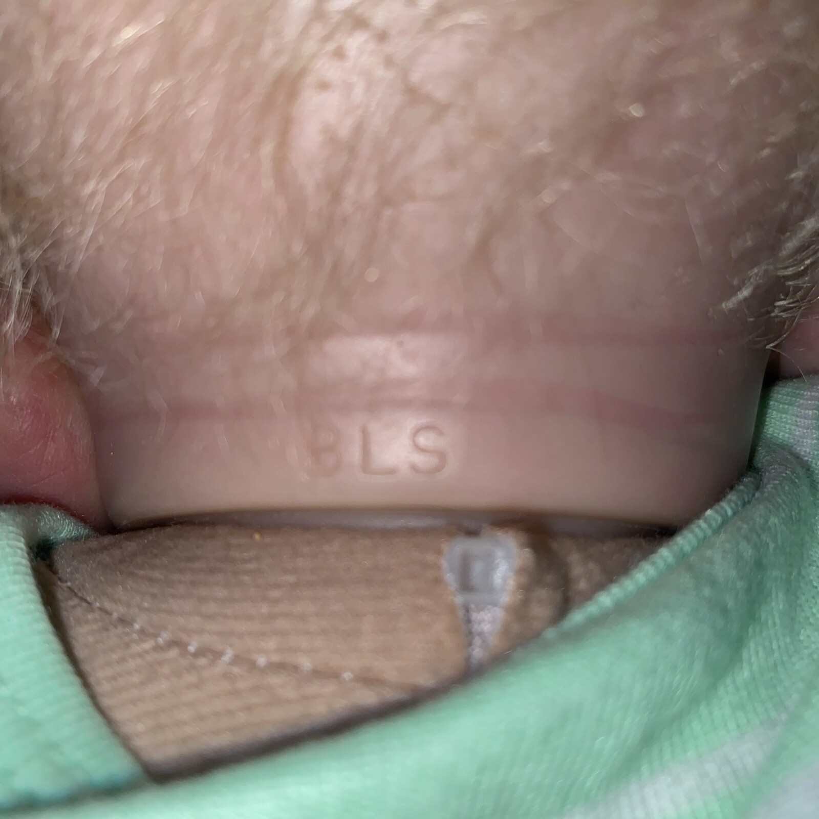 Picture 12 of 19