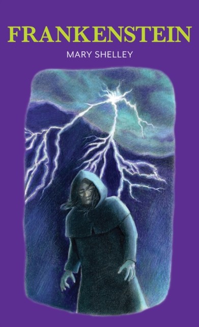 Frankenstein by Mary Shelley (Hardback Book)