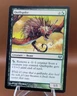Quillspike x1 MTG Eventide Magic Light Play LP English