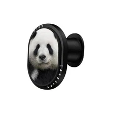 CASTETiFY Wireless Car Charger Panda