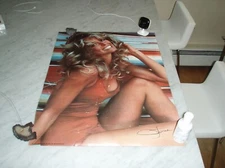 vintage 1976 pro arts inc FARRAH FAWCETT bathing suit nip slip CL14-507 Poster