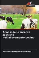 Mohamed El Mounir Bentchikou | Analisi Delle Carenze Tecniche...