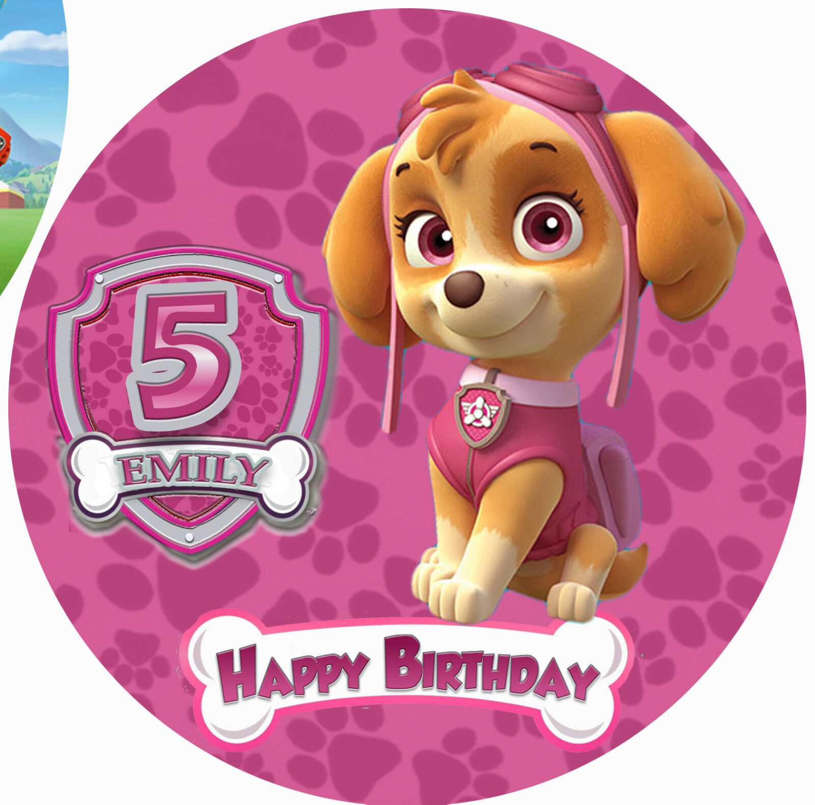 PAW PATROL SKYE CAKE TOPPER PERSONALISED EDIBLE BIRTHDAY CAKE TOPPER US $2.17 lasselsberger.com Paw Patrol Skye Cake Topper Personalised Edible Birthday Cake Topper Us $2.17 Lasselsberger.Com