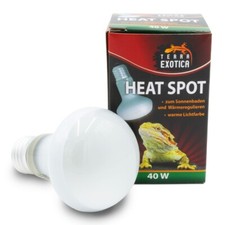 Terra Exotica Heat Spot 40 Watt W&auml;rmestrahler f&uuml;r Terrarien