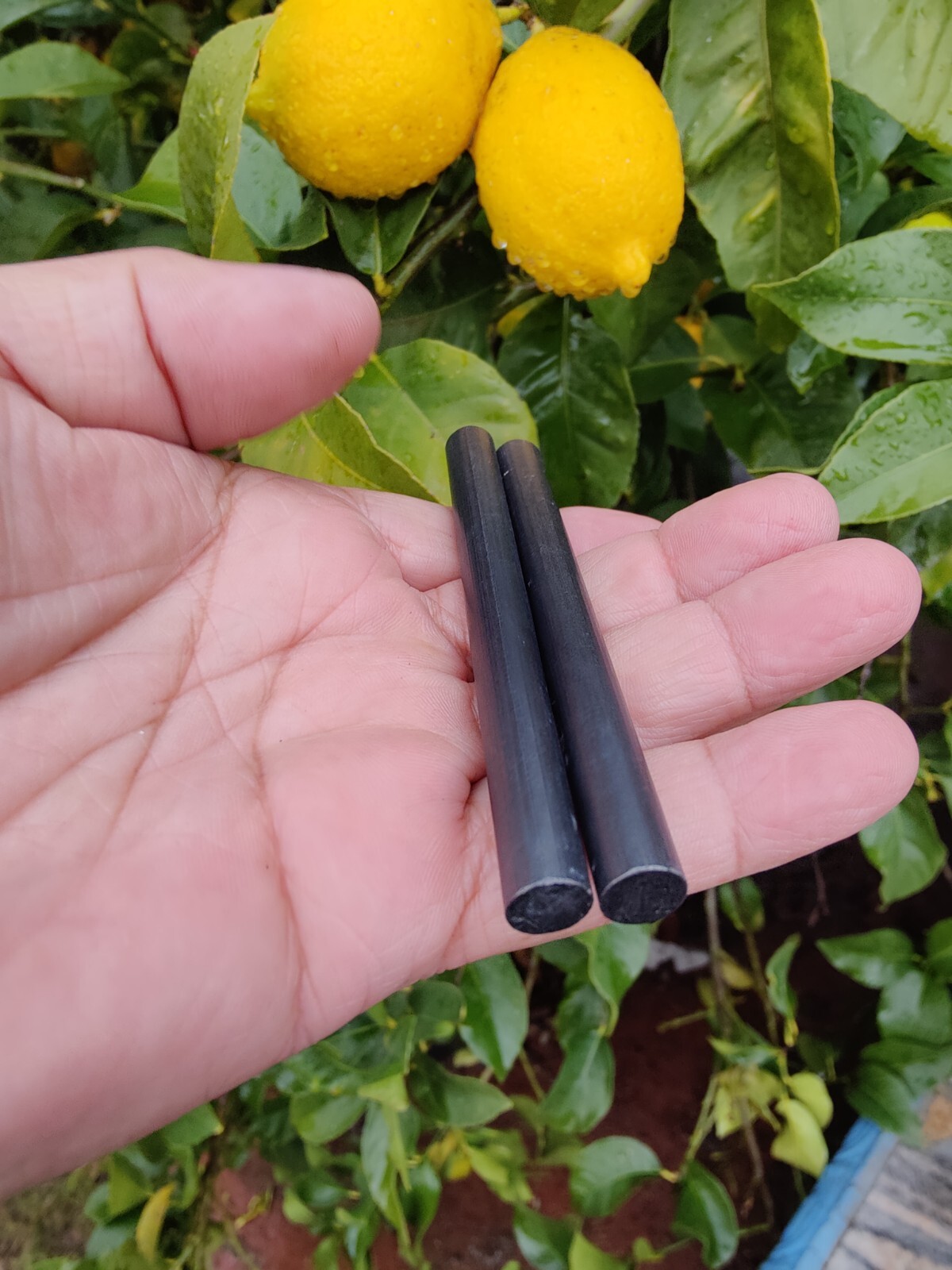 Lot of two (2) ferrocerium rods ferro rods firesteel 3/8"diam. 4 inches