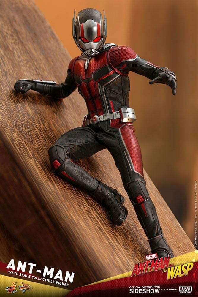 HOT TOYS MMS497 MARVEL ANT-MAN AND THE WASP SCOTT LANG 1/6 ACTION