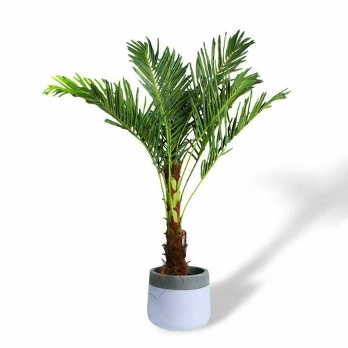 Jumbo Faux Artificial Phoenix Palm Tropical Tree Plant Green Home Office Decor - Picture 9 of 10