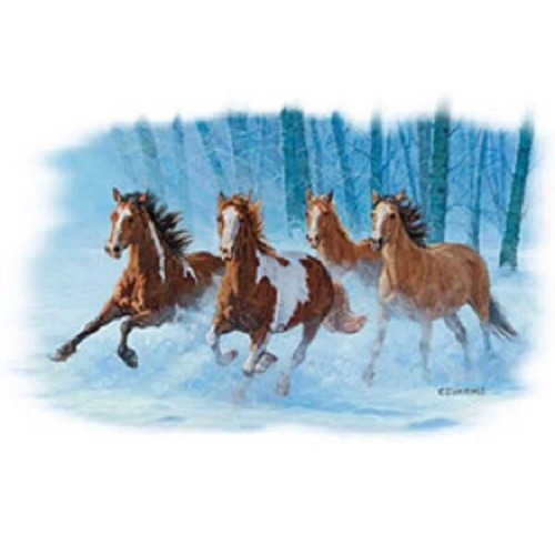 Horse Variety T Shirt Transfer Print for Application with HEAT PRESS MACHINE - Picture 11 of 17