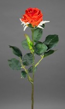 Rose Elena 45cm orange PM Seidenblumen Kunstblumen künstliche Blumen Rosen