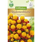 Bild 6 von 35