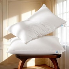 Goose Down Pillow Queen Size Set of 2 Pack,Soft Queen Size (Pack of 2) White