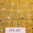 Bild 12 von 15
