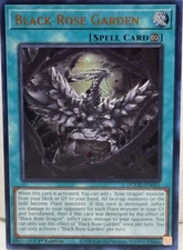 Yugioh! Black Rose Garden - DOOD-EN055 - Ultra Rare - 1st Edition Near Mint, Eng