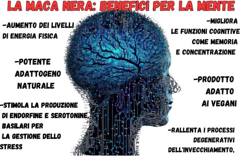 MACA NERA Bio 1 KG - Vegan Ok -OFFERTA CONVENIENZA- - 第 6/9 張圖片