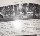 Picture 16 of 19