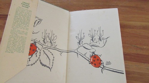 GReeN FiNgErS Again ~ Reginald ARKELL & Edgar Norfield 1942 HbDj HERE in MELB - Imagen 4 de 12