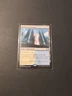 MTG Hallowed Fountain Ravnica Allegiance LP