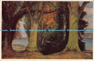 R190526 Alfred Schwarz. Liebhaber Sammelmappe. Nr. 1217. Im frischen grunen Wald