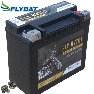 Batterie für Harley FLSTFB 1690 Softail F-Boy Sp 12 FlyBat HVT01 AGM geschlossen
