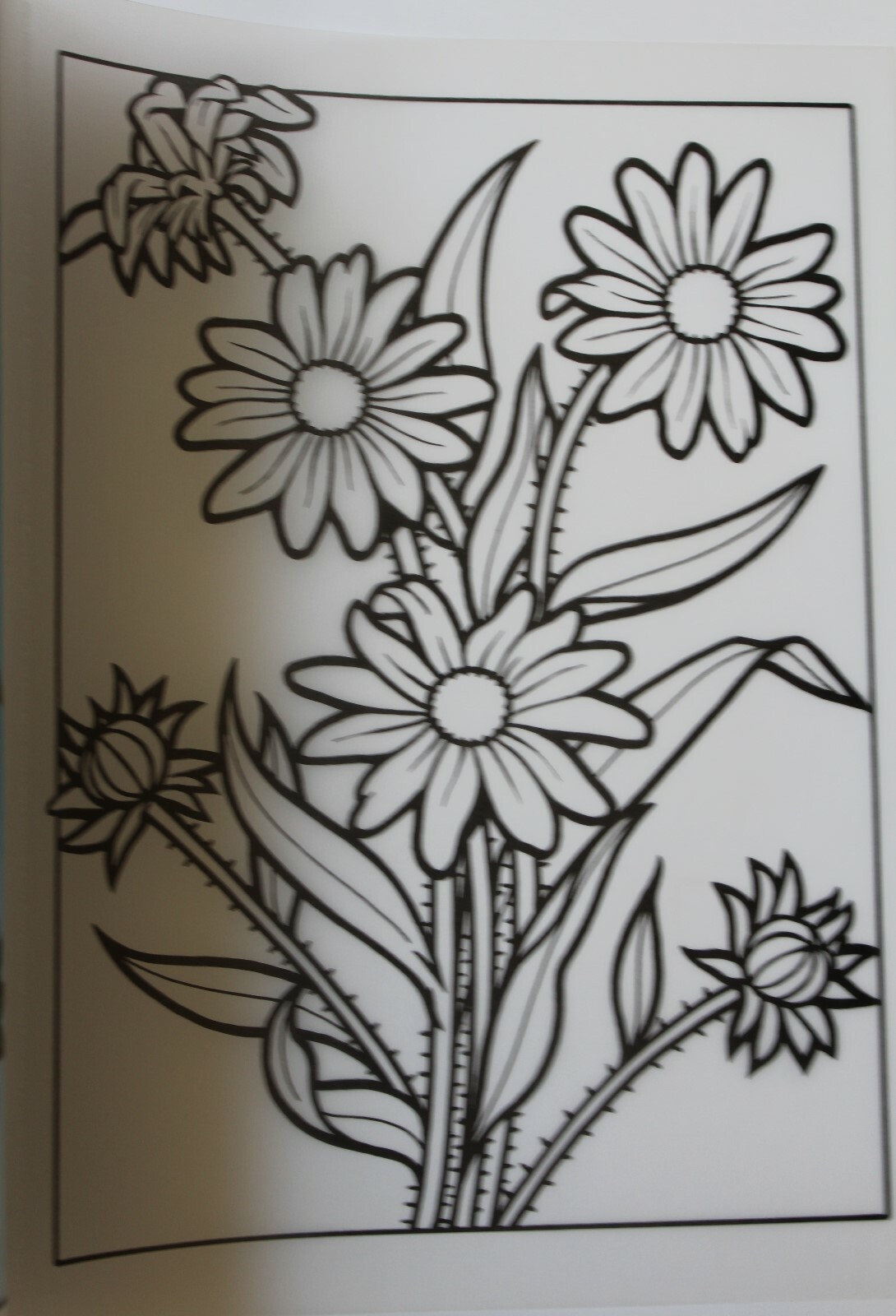 Creative Haven Wildflowers Stained Glass Coloring Book by John Green ...