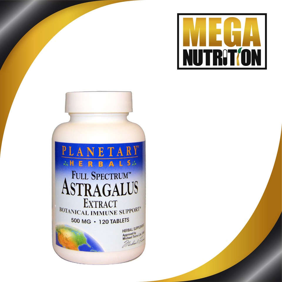Pure Astragalus Membranaceous Root Extract 120 Tablets Adrenal Fatigue Support eBay