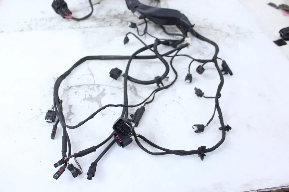 14-18 BMW R1200GS ADVENTURE OEM ARNÉS DE CABLEADO MOTOR TELAR DE CABLE Foto 2 de 4