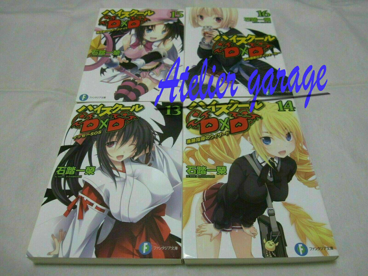 High School DxD Light Novel 1-25 Volume Set [Used]