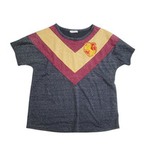 Harry Potter Gryffindor Quidditch Tshirt Gray Size L Hogwarts Magic