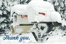 Christmas Thank You 4x6 Postcards 50/pack. USPS Mail/Letter Carrier.