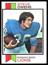 Steve Owens