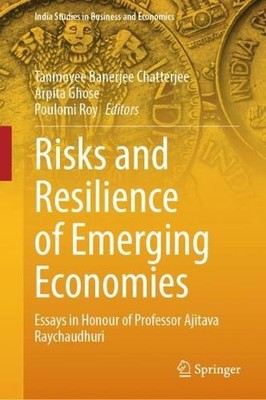 Risks and Resilience of Emerging Economies - 9789819940622
