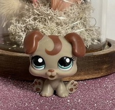 🌸Petshop CHIEN Boxer Chiot