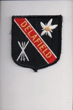 Delafield patch