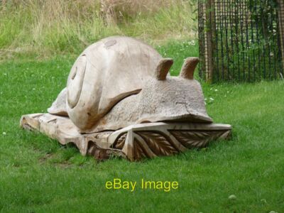 Foto 6x4 geschnitzte Holzschnecke Tyntesfield bei einem der Kinder gefunden   c2015