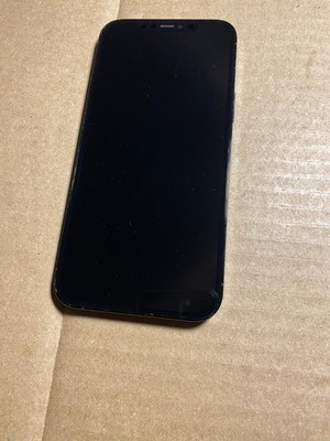 Apple iPhone 12 Pro Max 256GB Pacific Blue Unlocked (A2342) | eBay