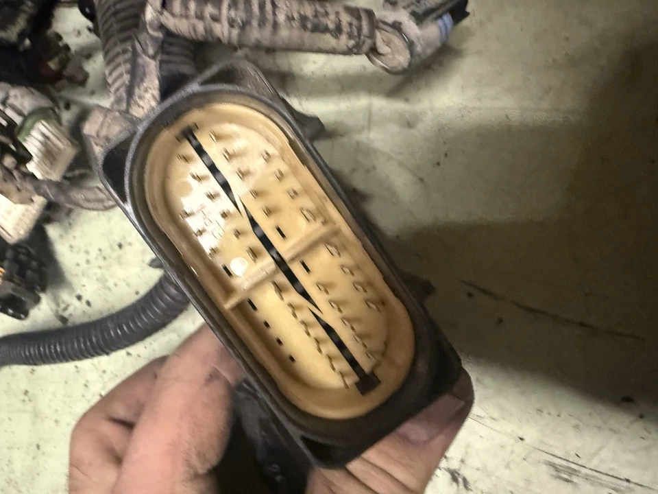 01-02 LB7 Duramax ECM/TCM Arnés de cables de transmisión Chevy GMC 4x4 estuche manual Foto 2 de 4