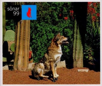 Various - Sonar 99 - Various CD 5UVG The Cheap Fast Free Post