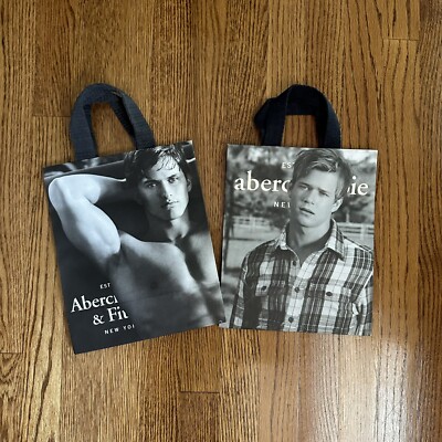 Lot of 2 Abercrombie Shopping Tote Paper Bags - Authentic | eBay