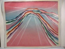 wall Art canvas color Hand oil paint Modern Abstract Picture Duotone 24x20 new*