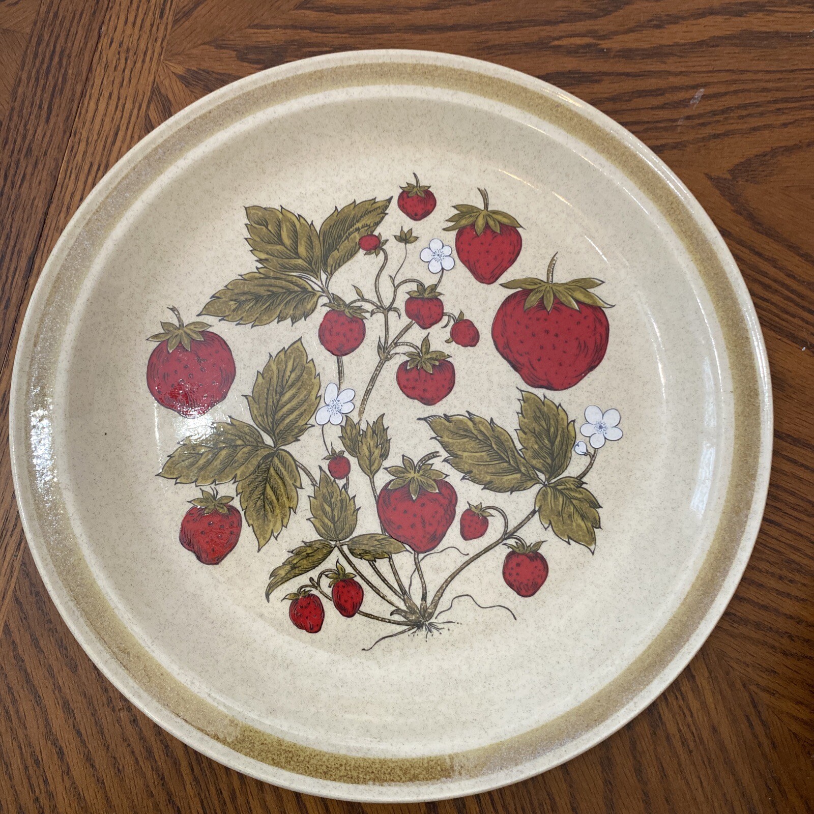 (1) Country Living Stoneware Strawberry Patch Serving 12