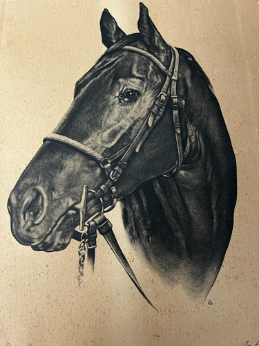 Grabado de caballo Joe Petro Iron Lieja de colección ganador del Derby de Kentucky 1957 - Imagen 2 de 11
