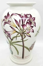 Portmeirion Botanic Garden Vase Amaryllis Reginae Butterflies Dragonfly RARE HTF
