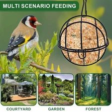 Suet Ball Bird Feeder Outdoor Hanging Metal Wire Wild Bird Feeder Fat Ball Food