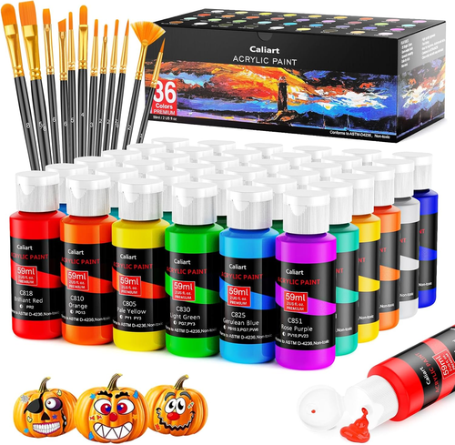 Art Gift Set DagouColor 61-Piece Acrylic Paint Set - 48