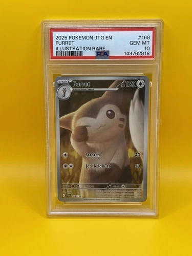 POKEMON FURRET PSA 10! JOURNEY TOGETHER ILLUSTRATION RARE 168/159 2025