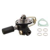 Pumpe, KraftstoffvorföRderung Febi Bilstein 22856